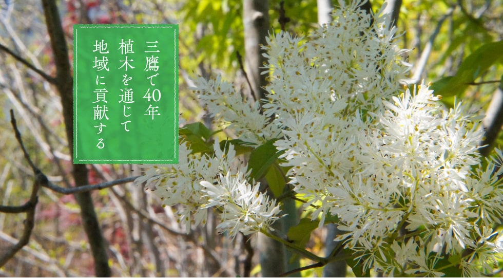 三鷹で40年 植木を通じて地域に貢献する