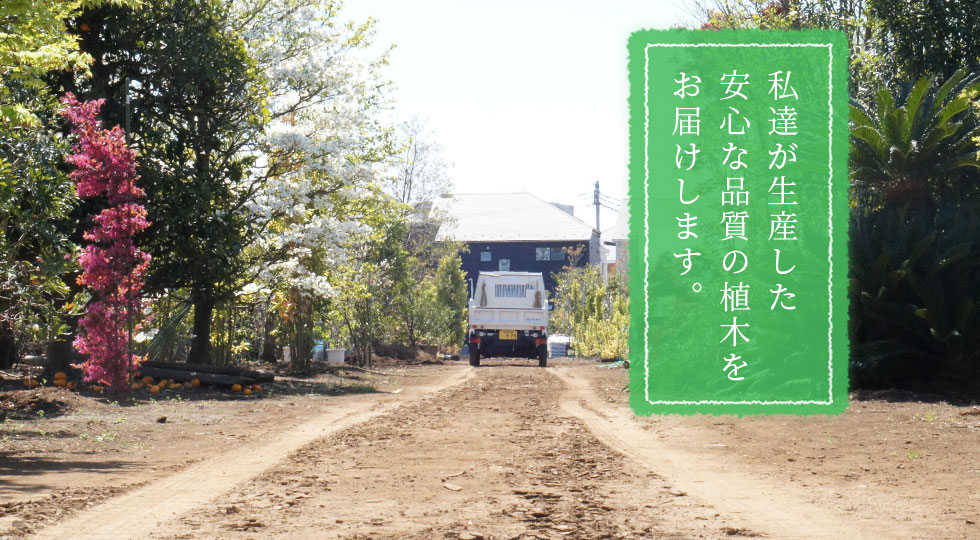 私達が生産した安心な品質の植木をお届けします