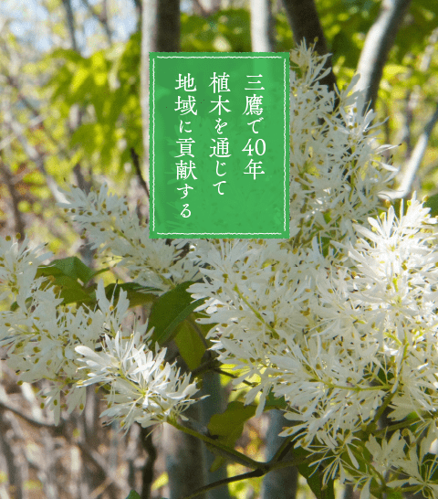 三鷹で40年 植木を通じて地域に貢献する