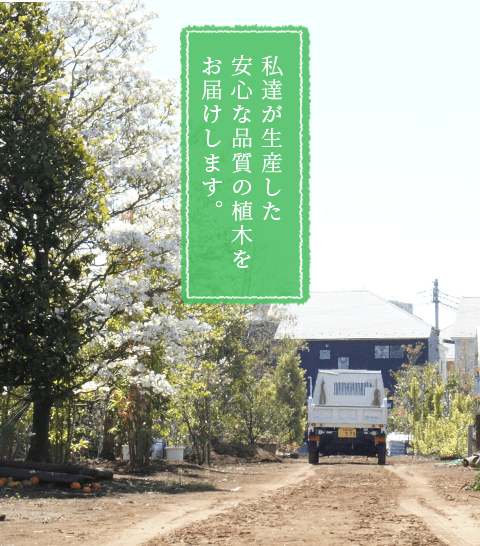 私達が生産した安心な品質の植木をお届けします